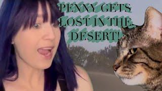 Penny goes on an adventure in a sand storm!