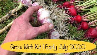 Dario French Garlic Harvest | Veg Garden Tidy Up | Episode 22 - 2020