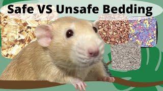 The BEST bedding for Pet Rats