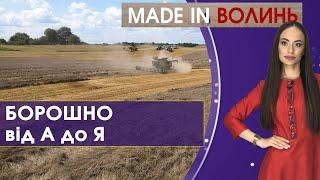 Як виготовляється борошно від А до Я | Made іn Волинь