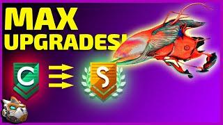 How To Get Max Special Upgrades | No Man's Sky Living Ship Update Guide 2020