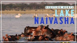 Exploring Lake NAIVASHA! Boating through Kenya's incredible WILDLIFE and NATURE!