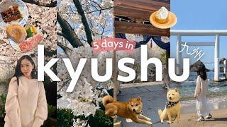 KYUSHU, JAPAN (Fukuoka, Oita & Kumamoto)  5-Day Travel Vlog |  Cherry Blossoms + Places to Visit!