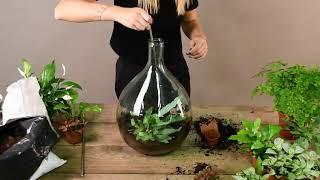 Plant Terrarium maken - je eigen ecosysteem