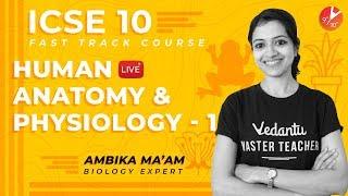 Human Anatomy and Physiology | Circulatory System and Excretory System | ICSE Class 10 | Vedantu