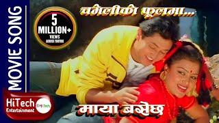 Chameliko Phoolma | Maya Basechha Nepali Movie Song | Rajesh Hamal | Rekha Thapa | Nawal Khadka