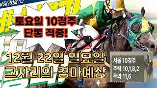 12월 22일 일요일 그자리의 경마예상