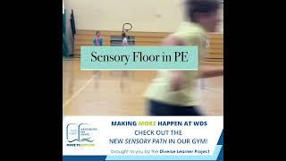 WDS showcase the new sensory floor in P.E