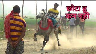 NEW HORSE BARUD OWNER MR. KUNAL SAWAR BHARAT HORSE FROM BIHAR