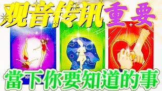 #塔羅占卜【觀音傳訊】接收好運｜當下你要知道重要的事｜愛情/事業/家庭/財富/健康/靈性指數