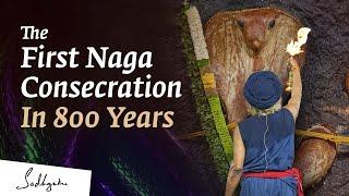 Glimpses of a Rare Mystical Event - Naga Consecration @Sadhguru Sannidhi, Bengaluru