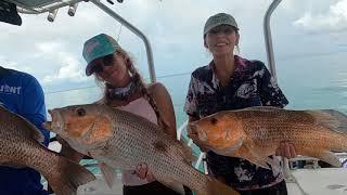 Fishing Darwin Harbour with Yknot Fishing Charters. Jewfish, Coral Trout, Snapper, and Threadfin!