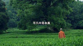 平凡中見本真，心隨萬物靜#禅语#人生禅语#人生故事 #哲理故事 #佛家禅语#箴言#禅思#哲思