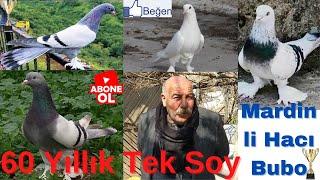 60 Yıllık Tek Soy Mardinli Hacı Nuri Bubo!! Mehmet OLCAR #oyunkuşu