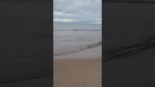 Lake Michigan ripples on a calm day