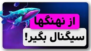 از نهنگها سیگنال رایگان انفجاری بگیر