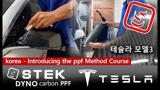 stek dynoshield carbon TPU PPF tesla Model3 Introducing the ppf Method Course 테슬라모델3 카본ppf시공방법 창원ppf