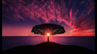Epidemic Sound - EDM House Playlist