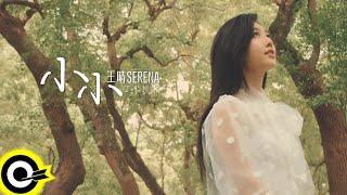 王晴 Serena Wang【小小 TINY】Official Music Video