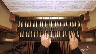 Johann Sebastian Bach, Fantasia et Fuga BWV 542, played by Luca Scandali (live recording)