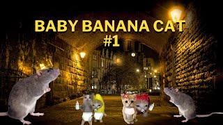 Baby Banana Cat part 1 - Banana Cat Tiktok Compilation - The Cat Adventures