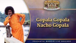 Gopala Gopala Nacho Gopala | Prasanthi Mandir Live Bhajans | Sai Kulwant Hall