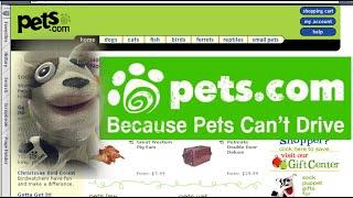 The (Immediate) Failure of Pets.com | They Lasted Two Years | History in the Dark