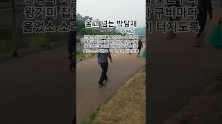 울고 넘는 박달재  #주현미#박재홍#트로트#1948박재홍인생곡ㆍ최고히트애창곡