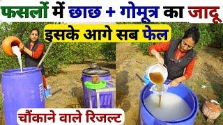 फसलों मेंसबसे ताकतवर फर्टिलाइजर ️फंगीसाइड ️कीटनाशक | Organic Fertilizer | npk fertilizer | kheti