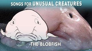 The Incredible True Story of the Blobfish