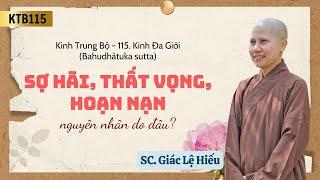 Sợ hãi, thất vọng, hoạn nạn nguyên nhân do đâu - Kinh Trung Bộ 115: Kinh Đa giới - SC. Giác Lệ Hiếu