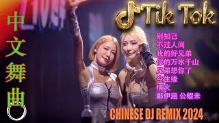 心之火 最好的音樂Chinese DJ - 最佳Tik Tok混音音樂 Chinese Dj Remix 2024 2024最火歌曲DJ Remix 抖音版