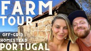 FULL FARM tour and the REAL reason we moved off grid to PORTUGAL!