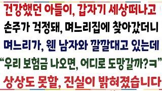 (반전신청사연)건강했던 아들이 갑자기 세상 떠나고 손주가 걱정돼 며느리 집에 찾아갔더니 "우리 보험금으로 어디로 갈까" 상상못할 진실이 밝혀지는데[신청사연][사이다썰][사연라디오]