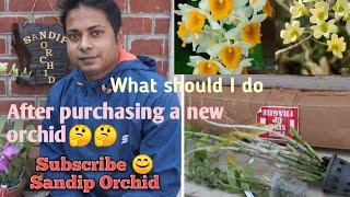 What I should do after purchasing a new orchid।।care of new plant।।Sandip Orchid