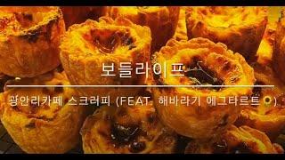 [보들라이프] 부산 광안리카페 스크러피 (feat. 해바라기 에그타르트 최고!!)