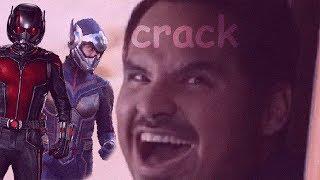 ant-man and the wasp on crack