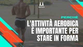 Perché l’attività aerobica è importante per mantenerci in forma e in salute