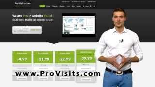 Real Targeted Website Traffic (Hits, Visits, Clicks) by ProVisits.com