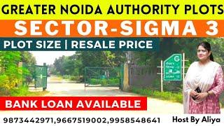 Sigma 3 Greater Noida | Greater Noida Authority Plots | Residential Plots In Greater Noida | Price ?