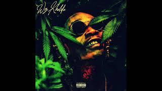 WIZ KHALIFA - GARDEN MUSIC (FULL ALBUM) (Prod.td202) (2024) (NEW) LEAK (UNRELEASED MIXTAPE) 420