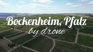 Bockenheim an der Weinstraße - Rheinland-Pfalz - Germany - by drone - Drohnenaufnahme - [4k]