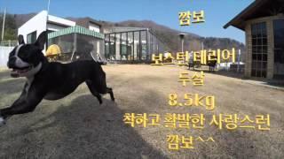 아다마스 펜션 깜보와 깜이
