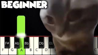 chipi chipi chapa chapa | BEGINNER PIANO TUTORIAL + SHEET MUSIC by Betacustic