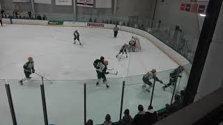 Brett Timmy hit, Aaron Gavin save LC vs FHC 2/29/20