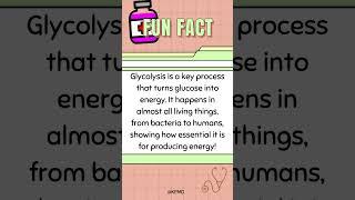  Powering Up: The Secret Behind Energy Conversion in Cells!  #mededtrivia #medicalscience #quiz