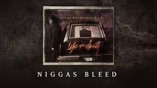 The Notorious B.I.G. - Niggas Bleed (Official Audio)