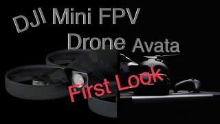 First Look, The DJI Mini FPV Drone Avata