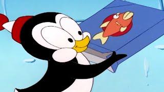 Chilly Willy Full Episodes Freeze Dried Chilly - Chilly willy the penguin Videos for Kids