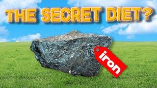 The SECRET Diet? Truths And Lies About Iron